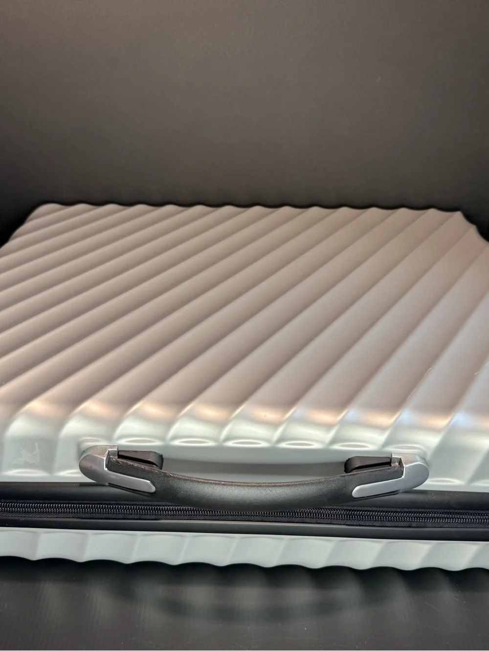 Richway BioMat Mini 7000MX Replacement Hardshell Travel Case Only – Silver